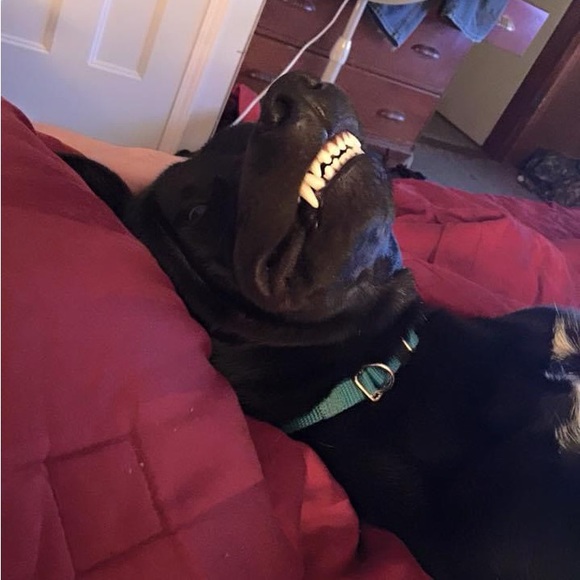 Meet your Posher, Alissa - Picture 16 of 16